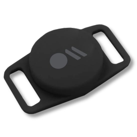 CASE MATE - Support collier pour chien pour AirTag - Noir - A - UNI - UDT17 - 115 -