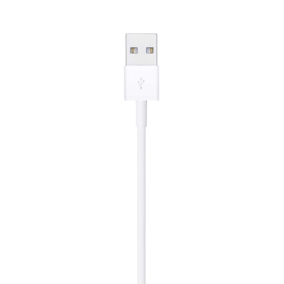 Câble Lightning vers USB (2 m)