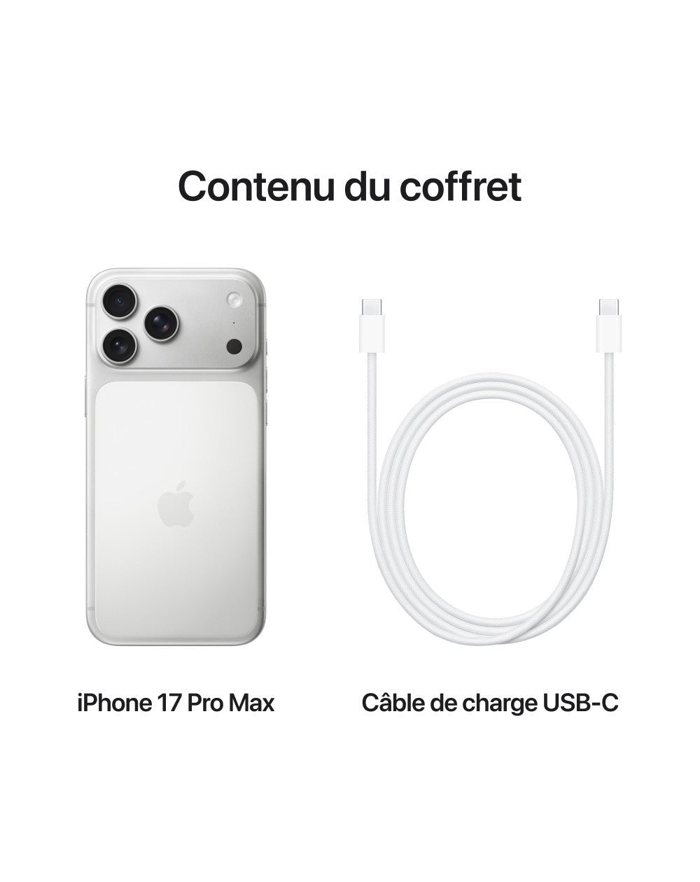 iPhone 17 Pro Max - MFYM4F/A - Argent - 256 GB - 